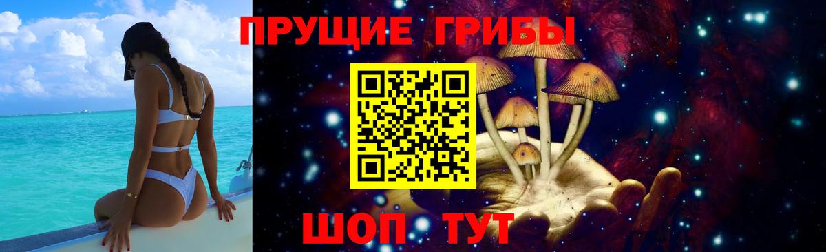 Галлюциногенные грибы MAGIC MUSHROOMS  Вход с VPN  Пушкино 